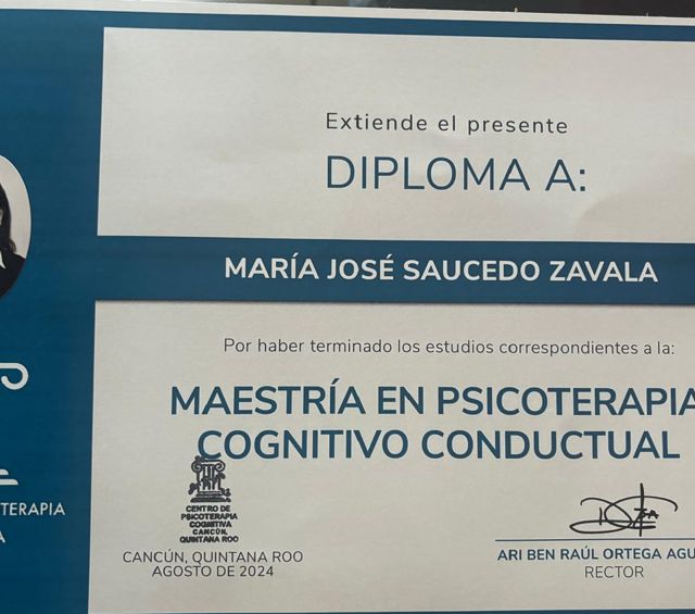 Ampliar imagen: certificate 3