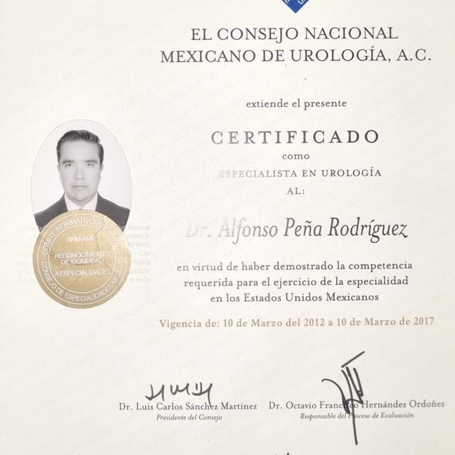Ampliar imagen: certificate 5