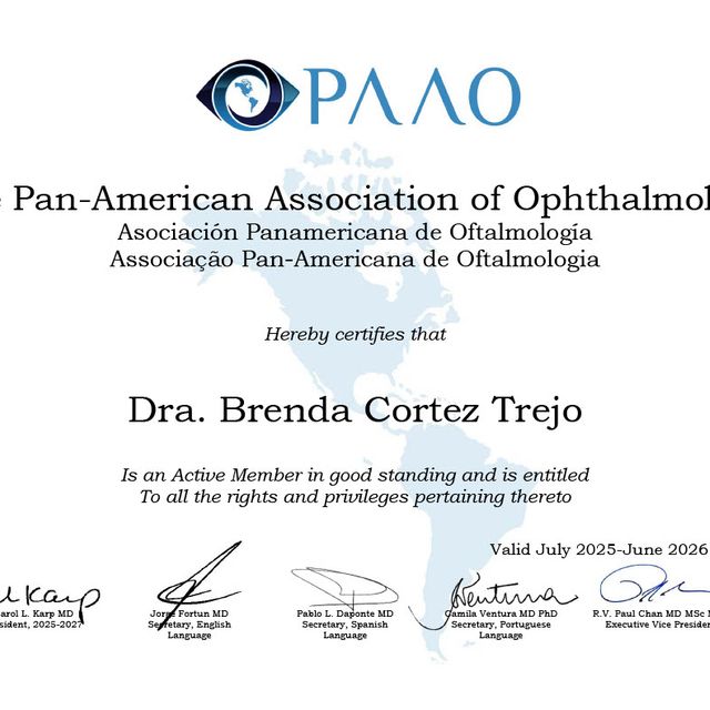 Ampliar imagen: certificate 3