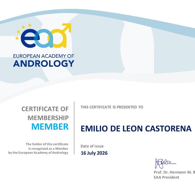 Ampliar imagen: certificate 6