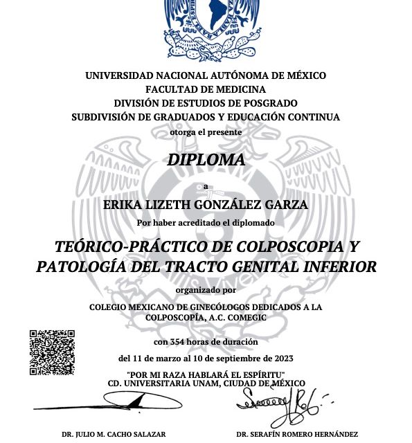 Ampliar imagen: certificate 4