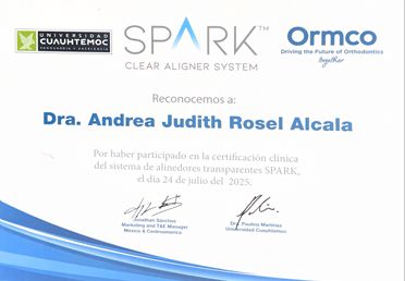Ampliar imagen: certificate 9