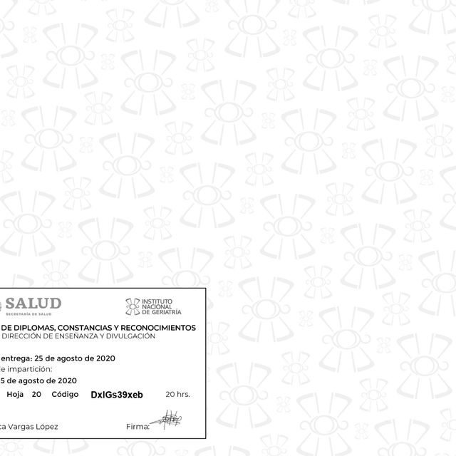 Ampliar imagen: certificate 5