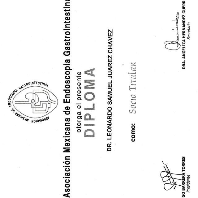 Ampliar imagen: certificate 2