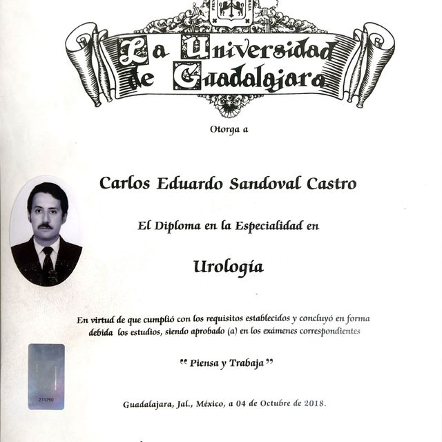 Ampliar imagen: certificate 3
