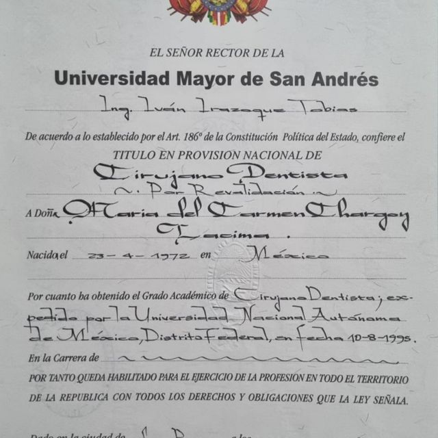 Ampliar imagen: certificate 3