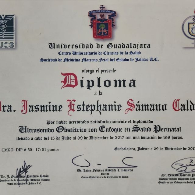 Ampliar imagen: certificate 5