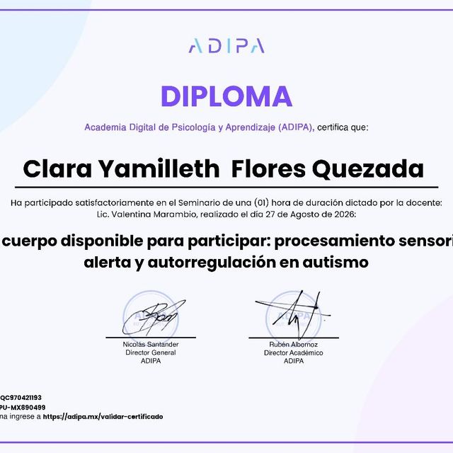 Ampliar imagen: certificate 26