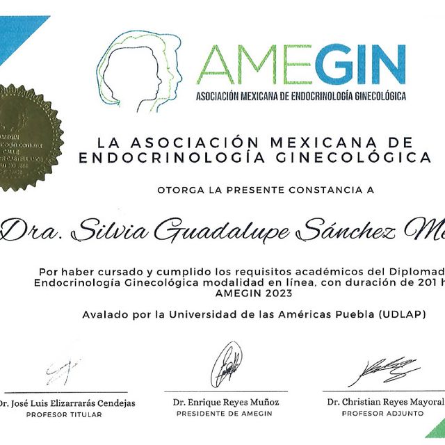 Ampliar imagen: certificate 4