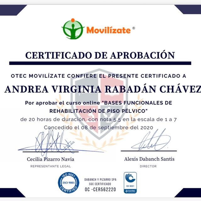 Ampliar imagen: certificate 6