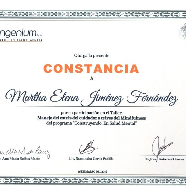 Ampliar imagen: certificate 1