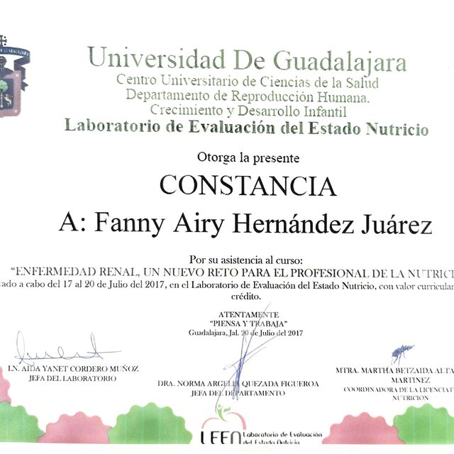 Ampliar imagen: certificate 2
