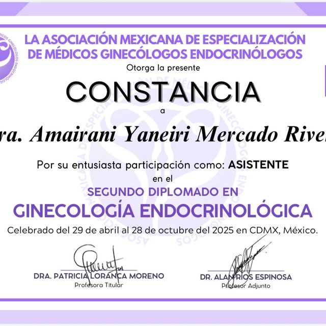 Ampliar imagen: certificate 3