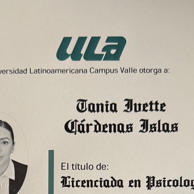 Ampliar imagen: certificate 2