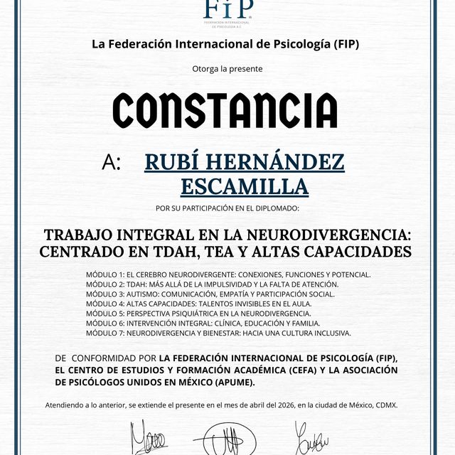 Ampliar imagen: certificate 3