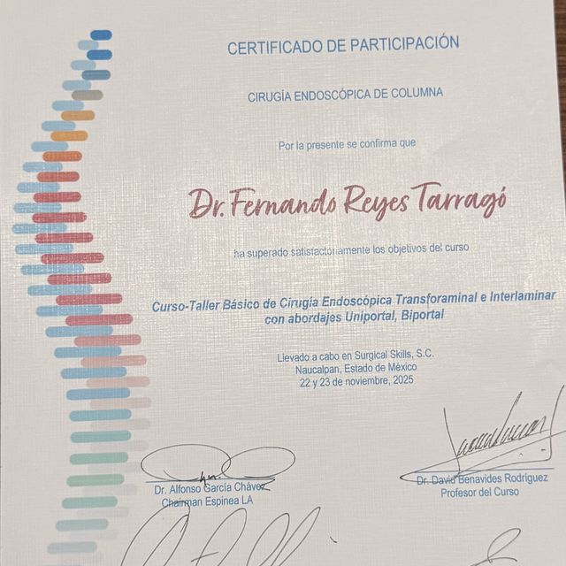 Ampliar imagen: certificate 10