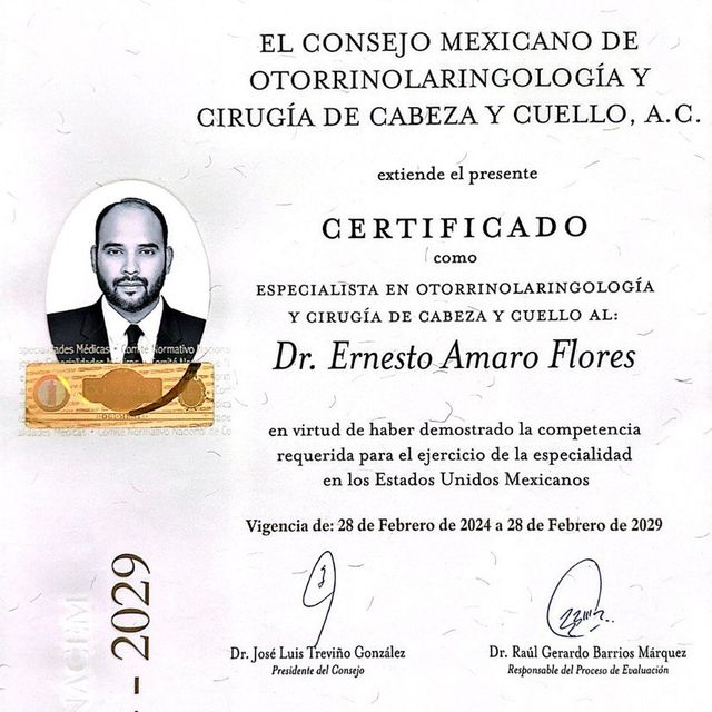 Ampliar imagen: certificate 1