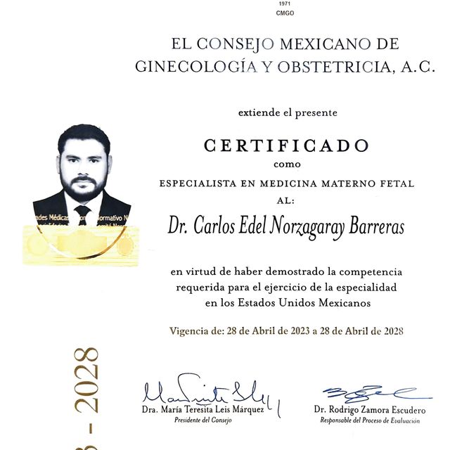 Ampliar imagen: certificate 1