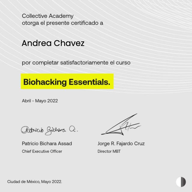 Ampliar imagen: certificate 5