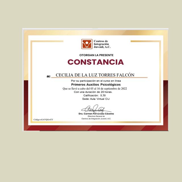 Ampliar imagen: certificate 2