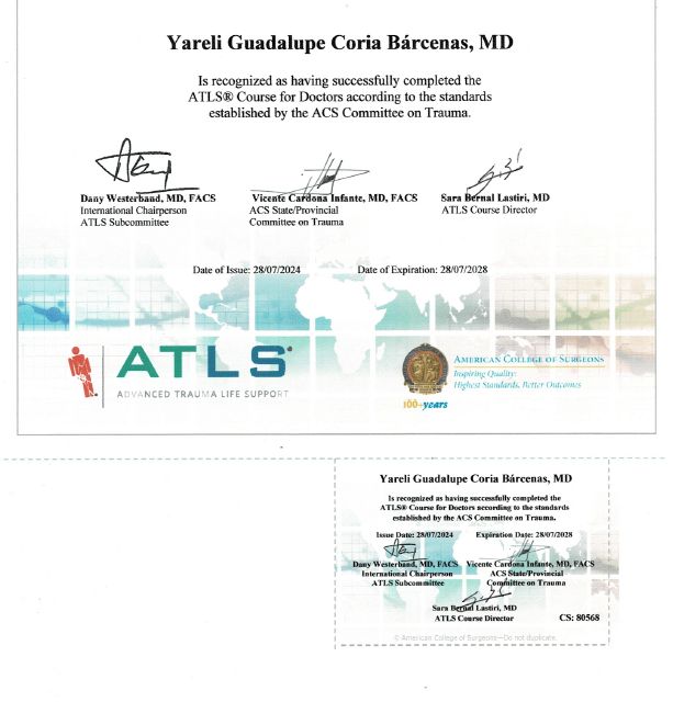 Ampliar imagen: certificate 2