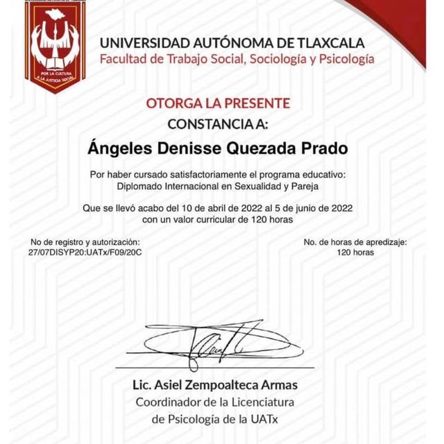 Ampliar imagen: certificate 19