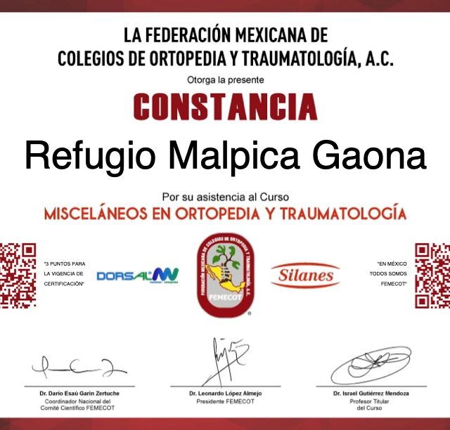 Ampliar imagen: certificate 4