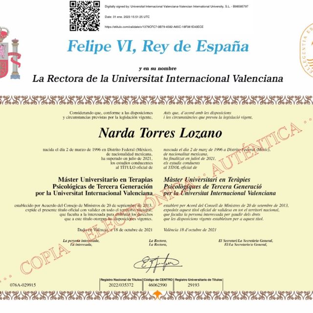 Ampliar imagen: certificate 2