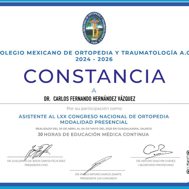 Ampliar imagen: certificate 7
