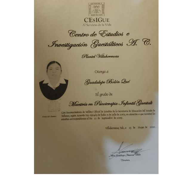 Ampliar imagen: certificate 4