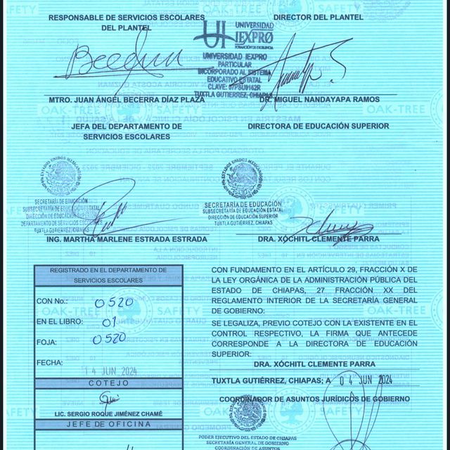 Ampliar imagen: certificate 29