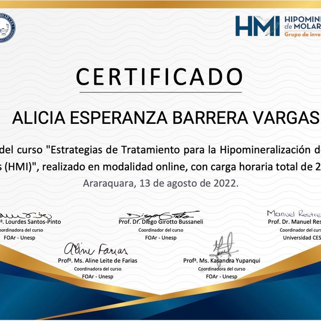 Ampliar imagen: certificate 9