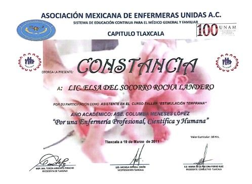 Ampliar imagen: certificate 10