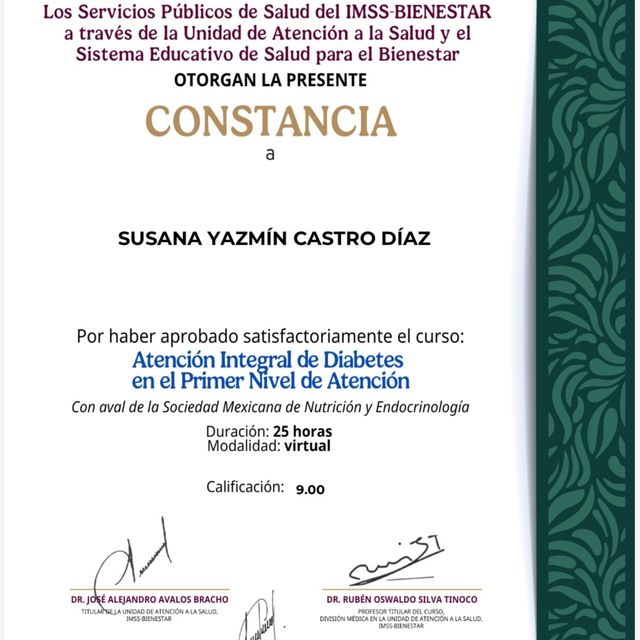 Ampliar imagen: certificate 19