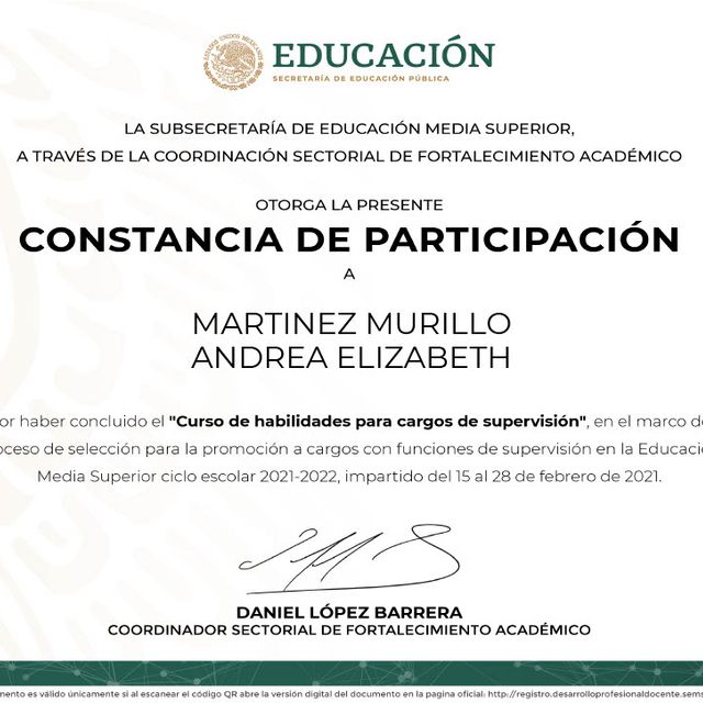 Ampliar imagen: certificate 55