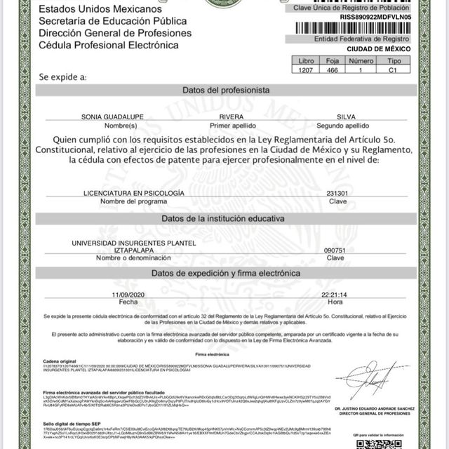 Ampliar imagen: certificate 1