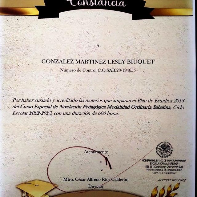 Ampliar imagen: certificate 4