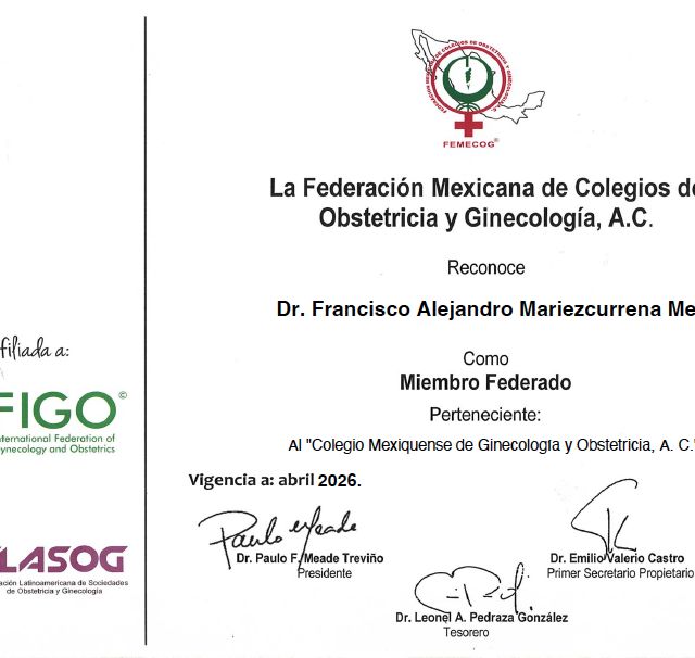 Ampliar imagen: certificate 3