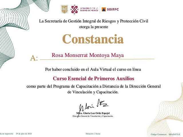 Ampliar imagen: certificate 1