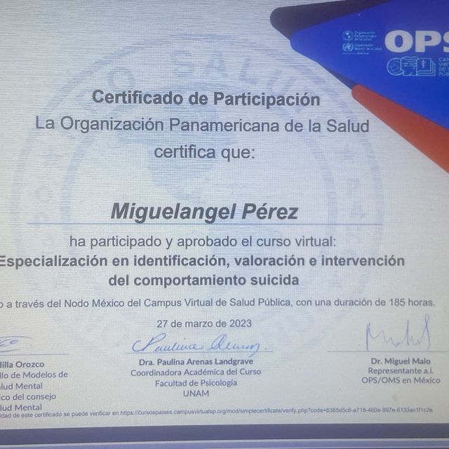 Ampliar imagen: certificate 3