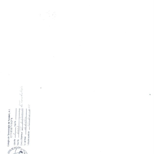 Ampliar imagen: certificate 41