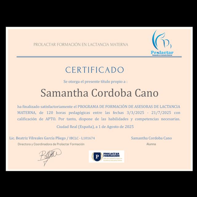 Ampliar imagen: certificate 2