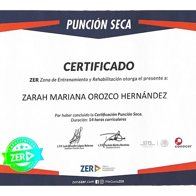 Ampliar imagen: certificate 4