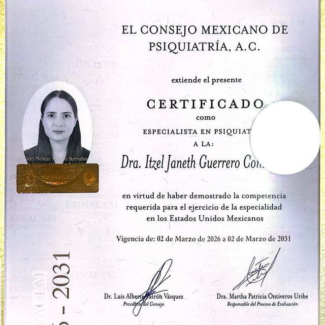 Ampliar imagen: certificate 1