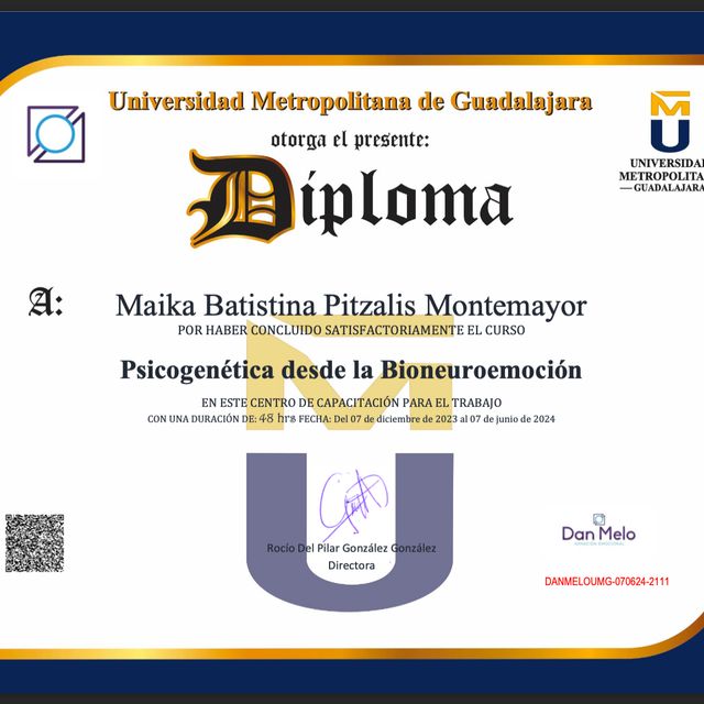 Ampliar imagen: certificate 3