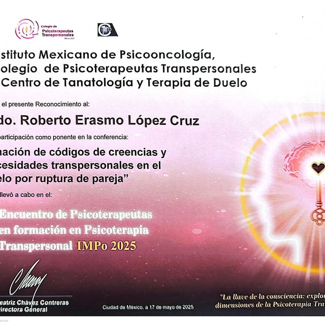 Ampliar imagen: certificate 5