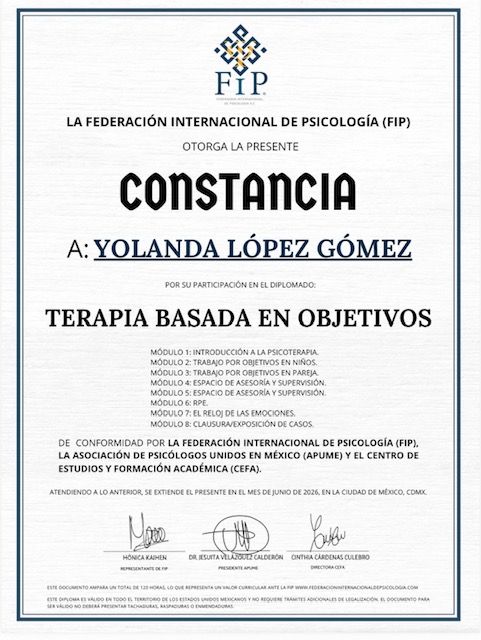 Ampliar imagen: certificate 8