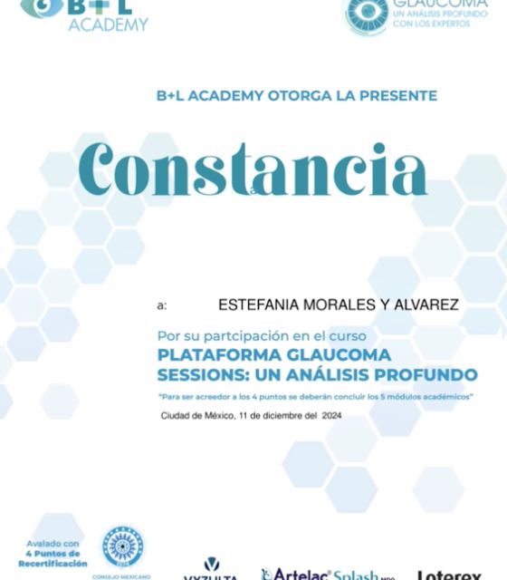 Ampliar imagen: certificate 9