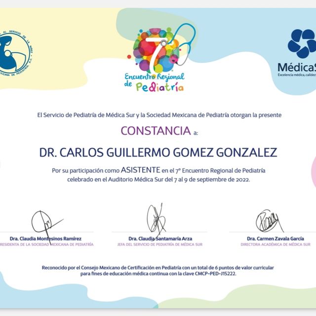 Ampliar imagen: certificate 24