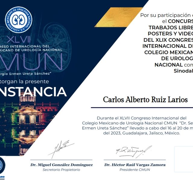 Ampliar imagen: certificate 6